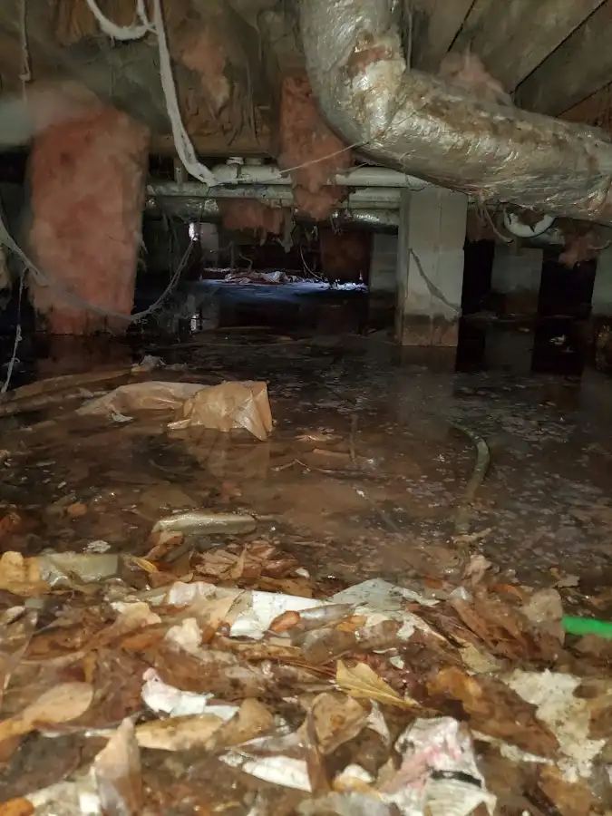 Crawl space flood assessment for Leak Detection & Repair in Hawthorne
